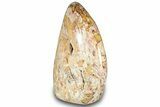 Colorful Polished Free-Standing Jasper Formation - Madagascar #323084-2